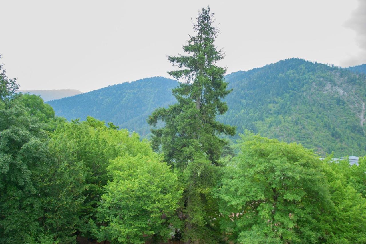 Likani Home Borjomi ภายนอก รูปภาพ
